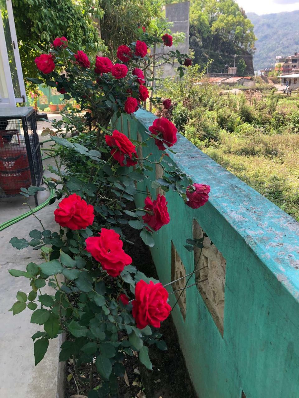Happy Sedi Lodge Pokhara Exterior photo